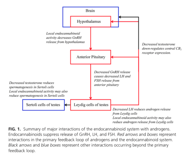 download perspectives on semantic roles