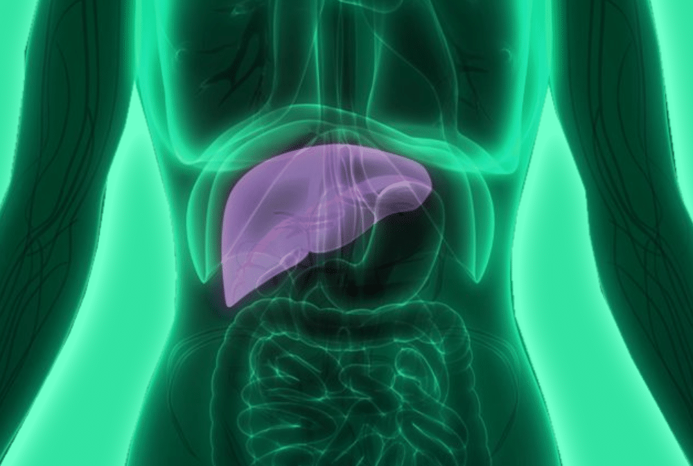 Individuals Who Consume Cannabis Show Better Liver Disease Outcomes