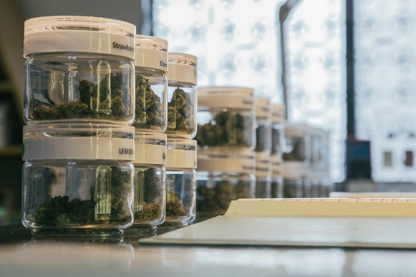 A Tourist’s Guide to Cannabis in LA