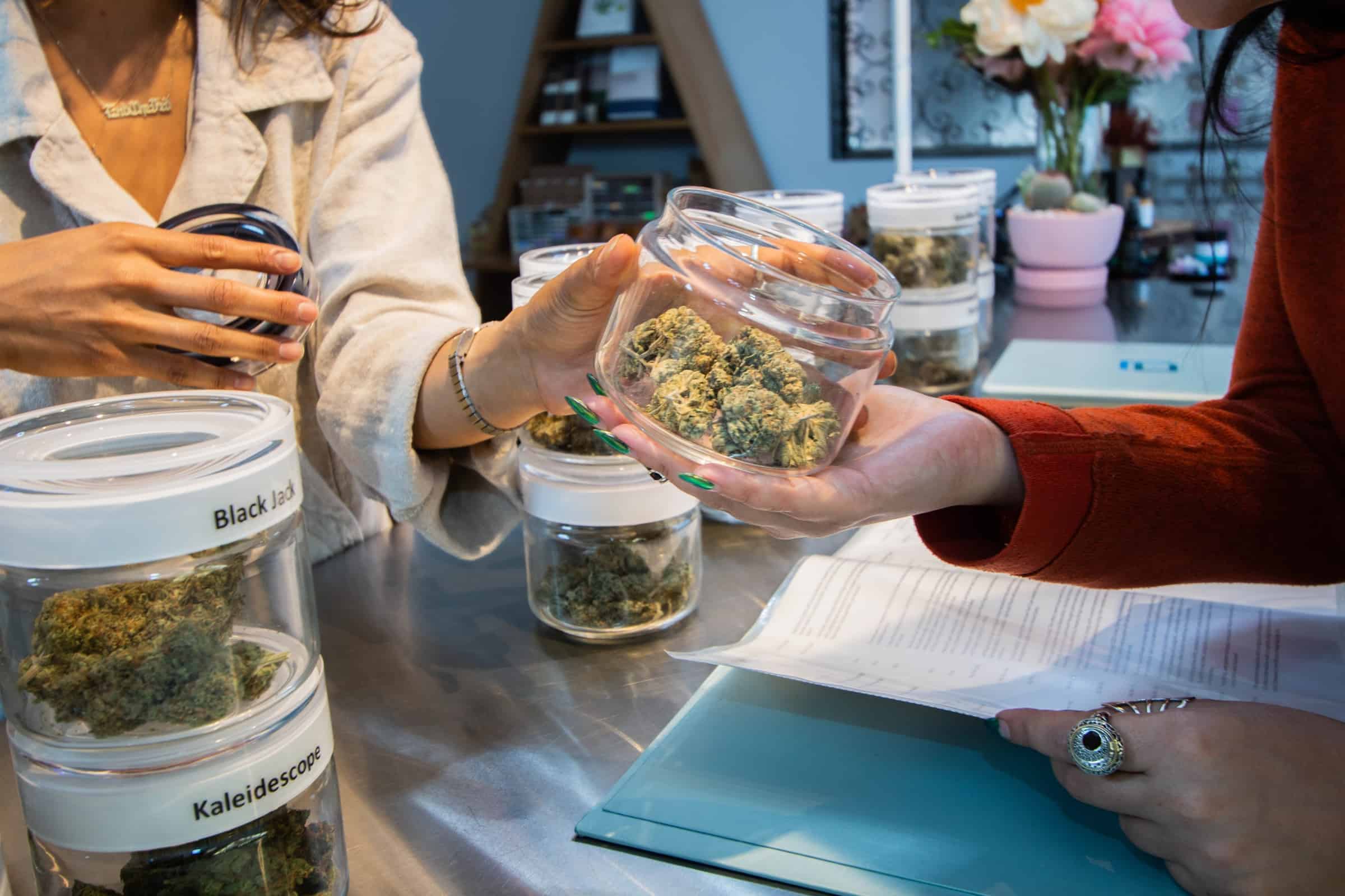 How to Get the Best Personalized Cannabis Recommendations