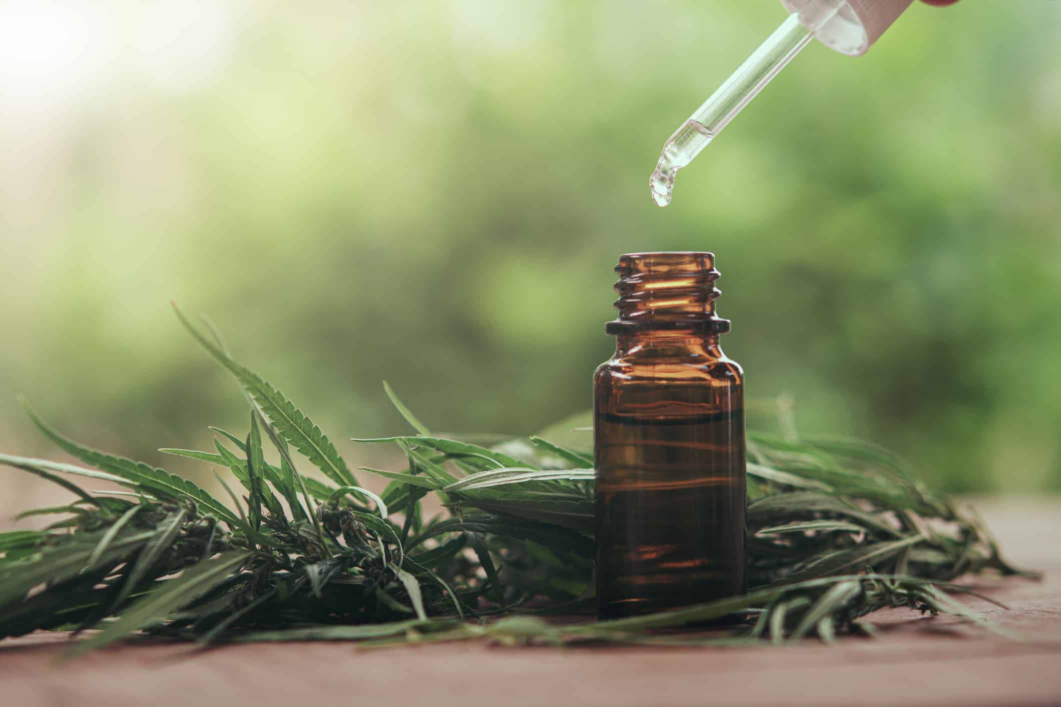Debunking 5 Common CBD Myths