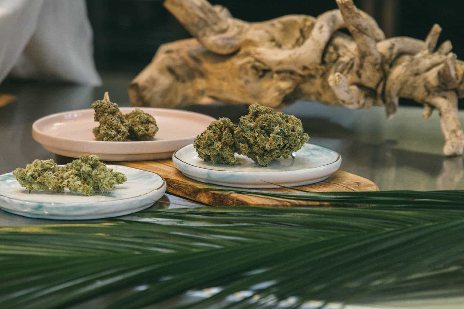 The Best Cannabis Products for Your Summer Staycation