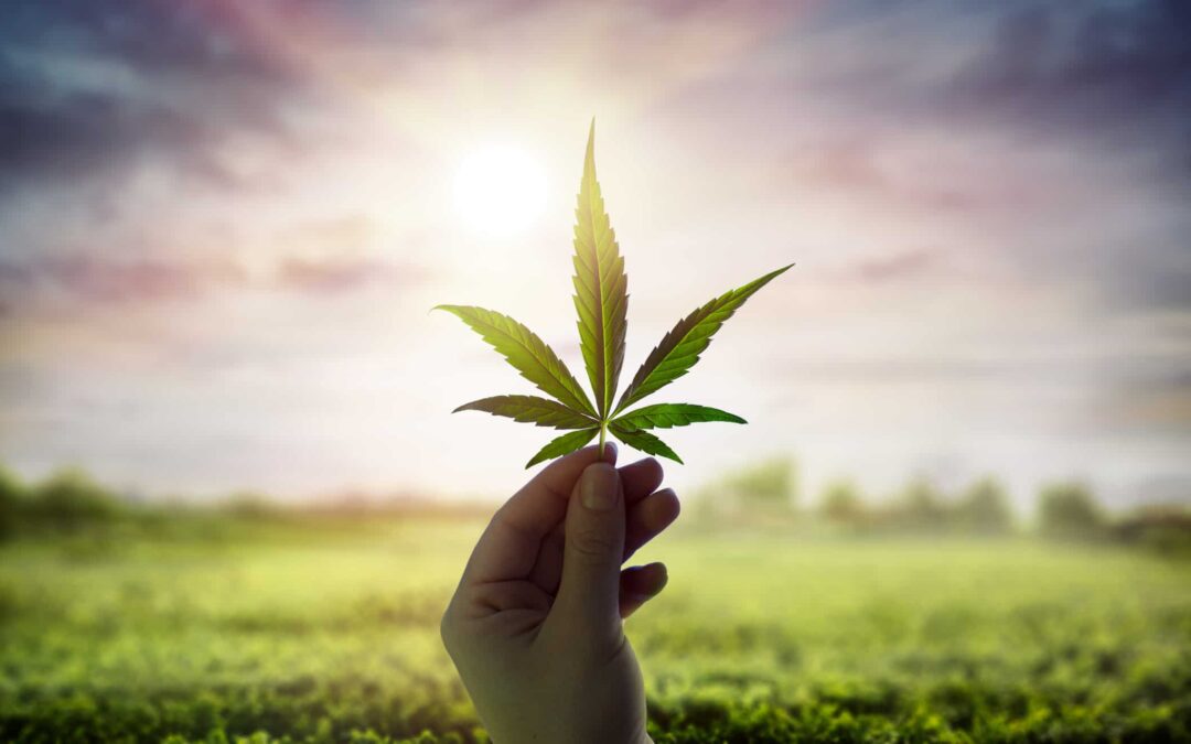 A Brief History of 4/20