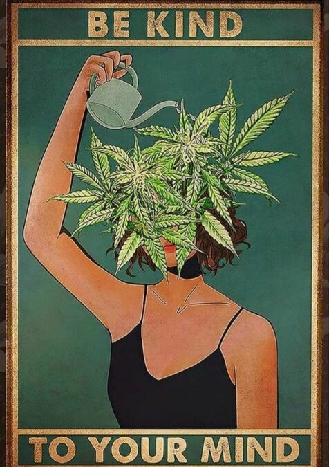 Using Cannabis to Manage Your Post-Pandemic Social Anxiety