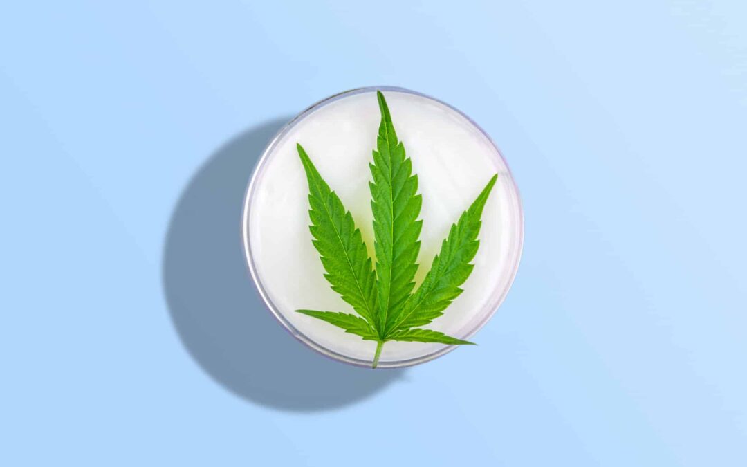 The Top 3 CBD Skincare Topicals to Use this Summer