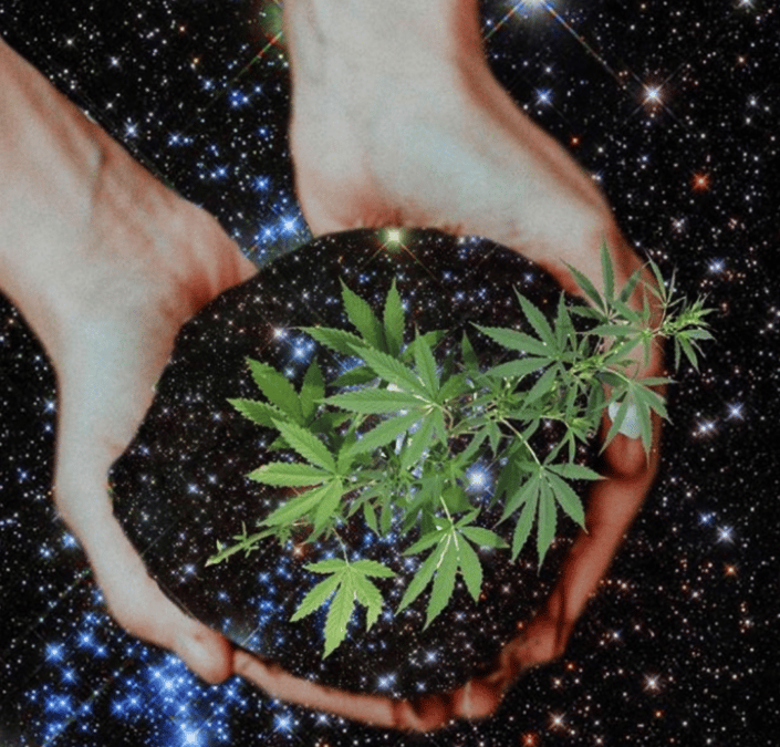 4 Useful Ways to Buy Sustainable Cannabis