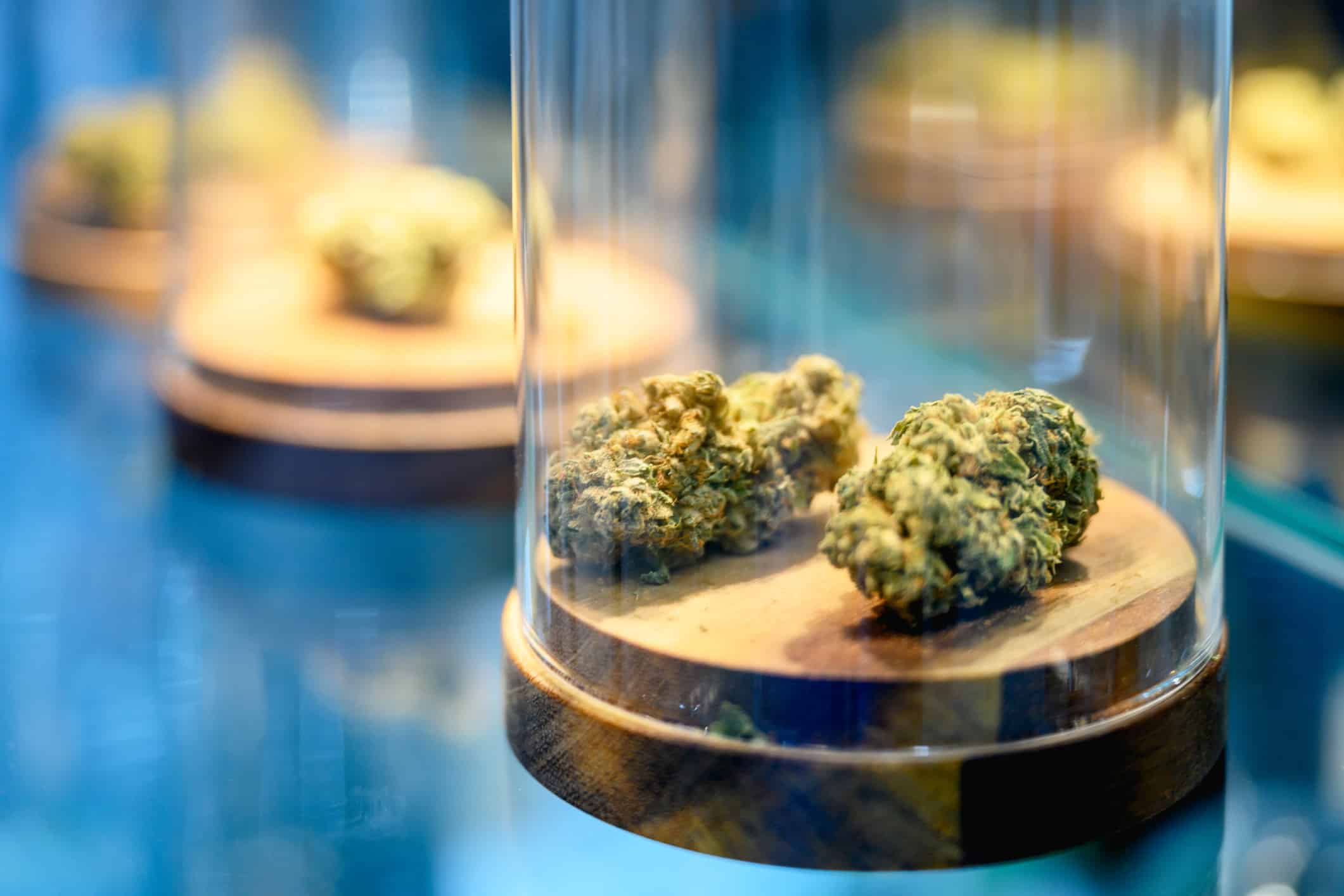 The 4 Most Important Cannabis Certifications and What They Mean