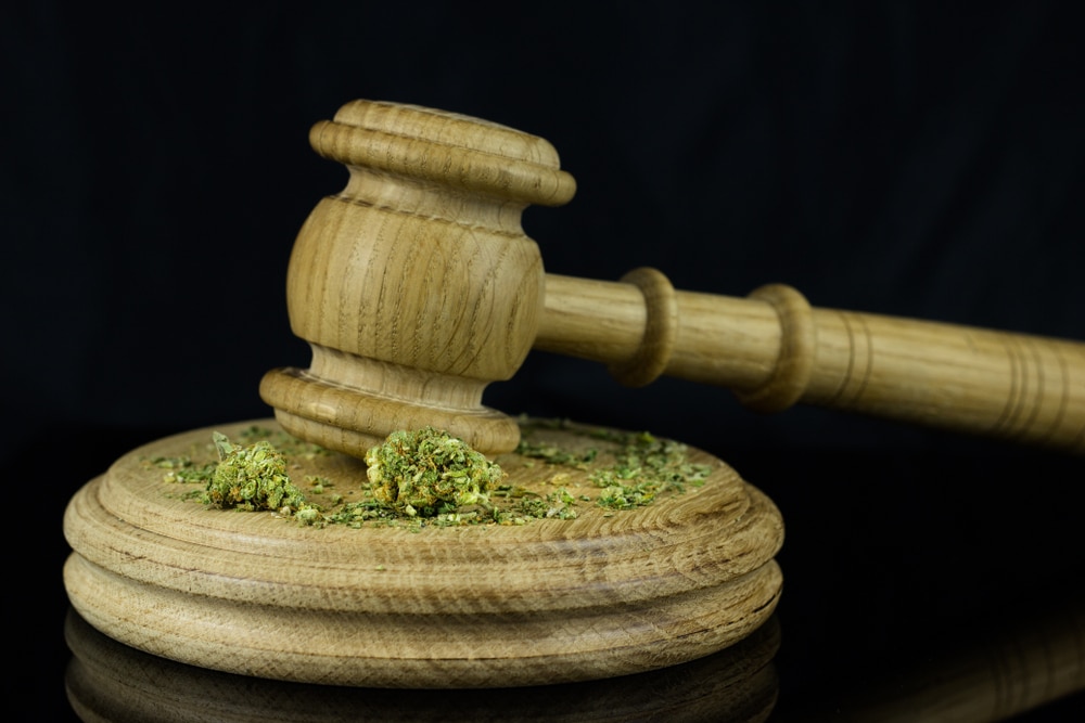 Cannabis Legalization in 2023: What to Expect, Updates & More