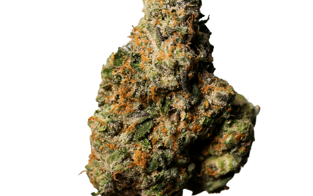 The Gelato Strain Offers Something For Everyone To Enjoy